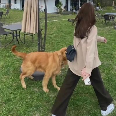 德尔哥